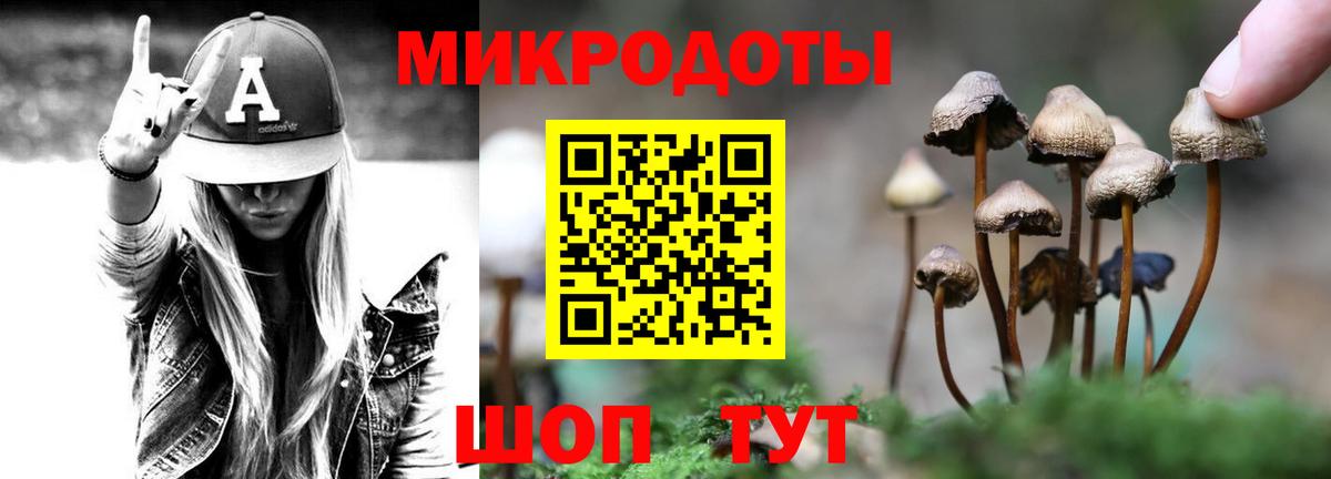Галлюциногенные грибы Cubensis  Вход с VPN  Корсаков  Галлюциногенные грибы Psilocybine cubensis 